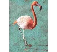 Flamingo On Blue Unframed Art Print Poster Wall Decor 12x16 inch