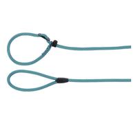 Flamingo Dog Anti-pull leash Eros Blue 1,7m 10mm