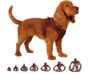 Flamingo Step-Go Bento Harness - Aubergine, M (A:30-35 cm, B:41-44 cm, 3 mm), Comfortable and Adjustable, Ideal for French Bulldog, Pug, Shih Tzu, Miniature Schnauzer, etc.