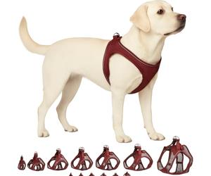 Flamingo Step-Go Bento Harness - Aubergine, XL (A:40-43 cm, B:49-54 cm, 3 mm), Comfortable and Adjustable, Ideal for Australian Shepherd, Springer Spaniel, Staffordshire Bull Terrier, etc.