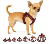 Flamingo Step-Go Bento Harness - Black, XXS (A:22-23 cm, B:24-25 cm, 2 mm), Comfortable and Adjustable, Ideal for Chihuahua, Yorkshire Terrier, Pomeranian, Maltese, etc.