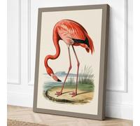 Flamingo Study Vintage Canvas Wall Art Print 18x12 Inch