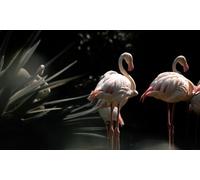 Flamingos-3000-Piece Puzzle - Fun 3D Puzzle for Adults, High-Definition Printable 14 years+