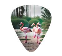 Flamingos and Pines Print 12 Pcs Guitar Picks Fit Lovers 3 Different Thickness 0.46 0.71 0.96mm