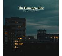 Flamingos Bite, the - Big Little Town