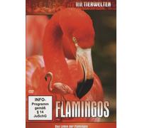 Flamingos - Das Leben der Flamingos [DVD]