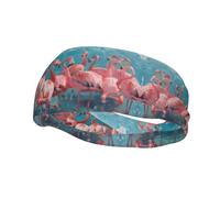 Flamingos Headband Hair Sweat Headband Head Wrap Hair Non-Slip Stretchable Washable Makeup Headband