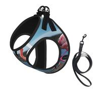 flamingos on the beach print Dog Harness and Leash Set, Reflective Adjustable Puppy Vest for Small Medium Large Dogs, Cats