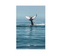 Flamint Humpback Whale Tail Cape Cod Massachusetts Canvas Poster Wall Art Decor Print Picture Paintings for Living Room Bedroom Decoration 24" L X 36" W