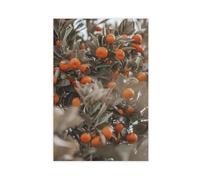 Flamint Orange Tree Fruit Botanical Nature Summer Agriculture Canvas Poster Wall Art Decor Print Picture Paintings for Living Room Bedroom Decoration 16" L X 24" W