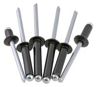 Flange Rivets,Stainless Steel Rivet,M2.4 M2.8 M3 M3.2 M4 M5 M6 Electroplating Black Aluminum Round Head Rivet Pull Anchor Blind Steel Shank Mandrel Exhaust Anchor(8mm,M2.4 (100Pcs))(10mm,M2.8 (100Pcs)