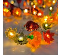 Flankor Autumn Lights - 10ft 30 Pumpkin Acorn Maple Leaf Thanksgiving Lights Decor for Halloween Autumn Home Party Fall Decorations Indoor Outdoor -1