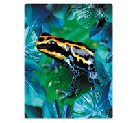 Flannel Blanket Frog Rainbow Poison Dart Frog Blanket Fluffy Fleece Blanket Soft Sofa Blanket, For Sofa, Outdoors, Adult, 125x150cm