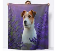 Flannel Fleece Blanket 130 x 150 cm Animal Lavender Field Jack Russell Terrier Throw Blanket, Purple Microfiber Fluffy Comfortable Soft Blankets - Living Room Bedroom Sofa Cover Office Nap Blankets