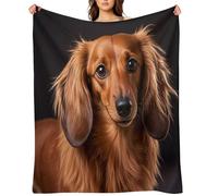 Flannel Fleece Throw Blanket - 40"x50" Super Soft Plush,Lightweight Wrinkle Resistant Cozy Long Haired Dachshund Blanket for Couch Sofa Bed Travel Camping and Gift