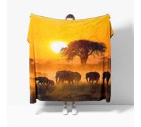Flannel Fleece Throw Blanket Baby size 70x100cm, African Grassland Elephant Herd Soft Fluffy Sofa Blanket for Kids Girls Boys, Golden Sunset Warm and Lightweight Bed Blankets for All Season