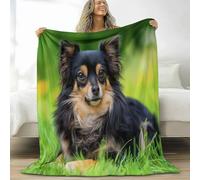 Flannel King Size Blanket for Boys Girls Kids 79 × 80 inch, Soft Warm and Fluffy Sofa Bed Grass Animal Chihuahua Printed Throw Blanket - Green Blankets for Couch Office