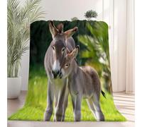 Flannel Throw Blanket 100×130 cm, Close-Up Donkey Grass Animals Printed, Black Soft Fluffy Blanket for Bedroom Living Rooms Office, Great Gift for Christmas/Thanksgiving