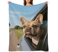 Flannel Throw Blanket 30"x40" - Ultra Soft Plush Blankets for Couch, Bed, Camping - Lightweight Puppy Dog Boston Terrier Blanket for Women, Men, Gift, Machine Washable