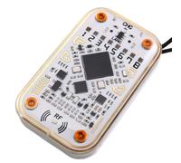 Flaroey Chameleon Ultra RFID Emulator RFID Smart Chip Reader Emulator +9CUID Keychain 125Khz 13.56Mhz Card Decode NFC Duplicator