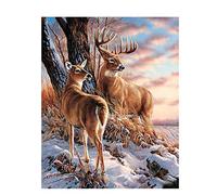 Flaroey Plastic Zipper Puller, Plastic Puller, Climbing Zipper Tail Rope, Backpack Zipper Rope Red