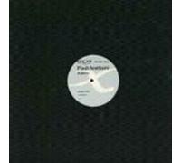Flash Brothers / Dodgy Boys - WMC '04 Sampler Amen / Pump Up The Noize-12"