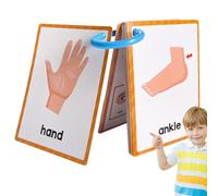 Flash Cards Body Parts Teaching English - Pocket Study Card, Visual Vocabulary Aid, Double-Sided Teaching Tool, Educational Early Learning Resource | For E