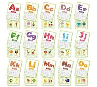 Flash Cards For Toddlers Age 1 2 3,First Words Flash Cards for Kids,Language & Speech Development Toys 4.4 x 3.2 Inch