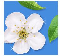 Flash Spray.Wipe.Done. Bathroom Antibac Cleaning Spray White Blossom 800ML, Spar