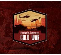 Flashpoint Campaigns: Cold War PC Steam CD Key
