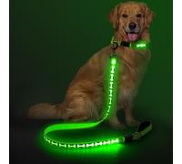 Flashseen Light Up Dog Leash, 4FT LED Dog Leash with Light Type-C Rechargeable, Nylon Glow Safety Dogs Lights for Night Walking (Green)