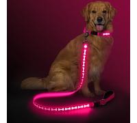 Flashseen Light Up Dog Leash, 4FT LED Dog Leash with Light Type-C Rechargeable, Nylon Glow Safety Dogs Lights for Night Walking (Pink)