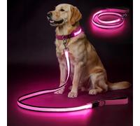 Flashseen Light Up Dog Leash with Double-Sided Light, Type-C Rechargeable Glow in The Dark Lights for Night Walking (Pink)