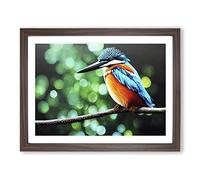 Flashy Kingfisher Bird Framed Print | A3 Walnut Framed Wall Art | Ready to Hang | Modern Nature Picture | Living Room Bedroom Lounge Office