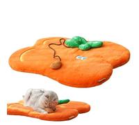 Flat Cat Bed | Orange Pet Floor Mat - Washable Crate Bed | for Bedroom Indoor Relaxation Apartment Kitchen Home Daily Rest Nighttime