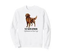Flat-Coated Retriever Dog Optimism on Four Legs Pet Design Sweatshirt