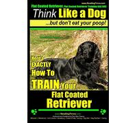 Flat Coated Retriever, Flat Coated Retriever Training AAA AKC | Think Like a Dog ~ But Don't Eat Your Poop! | Flat Coated Retriever Breed Expert ... To TRAIN Your Flat Coated Retriever: Volume 1
