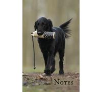 Flat-Coated Retriever Notebook: A Lined Journal to Use as a Diary, a Home or Office Notepad, or for Journalling Your Canine Adventures