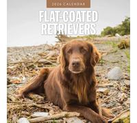Flat-coated Retrievers 2026 Square Wall Calendar: Original Red Robin Publishing Ltd-Kalender [Mehrsprachig] [Kalender]
