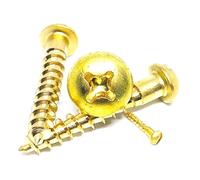 Flat head wood screw，Copper Phillips Self Tapping Screw M2 .5 M3 M4 M5 Cross Brass Half Round Pan Head, 10Pcs, M5x30mm(M3x30mm)