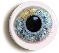 Flat Human Eyeball Fridge Magnet (Circular 2inch / 50mm Diameter)