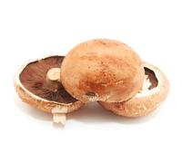Flat Mushroom 2 Pieces x 10 Pack - Premium Fresh Large Mushrooms | Ideal for Grilling, Stuffing, Roasting & Meal Prep |