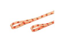 Flat Pattern Print Shoelaces for Sneakers - Fruit Design with Strawberry Grape Peach Orange Banana - Polyester Laces 120cm 140cm 160cm(Orange,160cm)