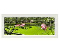 Flat Photo Frames Panoramic Picture Framers Real Wood Poster Frames White 20cm x 90cm Acrylic Glass Wall Decoration Frames