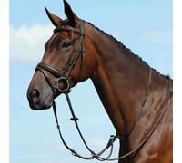 Flat plain horse martingale Weatherbeeta Collegiate Syntovi