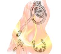 Flat Protection Cage with Small Rod and Anti-Off Ring, Stainless Steel Disguise Device for Sissy Men Cross-Dressing Role Play - HA10 (A:Silicone Rod, 50mm Curved Ring)