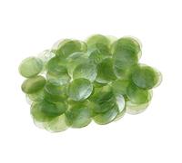 Flat Round Shells - Pendant Making,Wind Chime Crafting Shell | for Hobbyists Beginners Adults Girls Art Students Professionals Artists Party Home Craft Room Studio Workshop