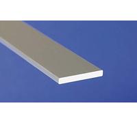 Flat Shape Section Bar B05 Silver 1000x50x2 mm