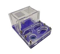 Flat Surface Ant Farm - Acrylic Castle Habitat with Hydrating Pool & Activity Area for Ant Colony Pet house
