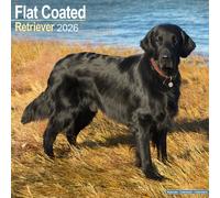 Flatcoated Retriever Calendar 2026 Square Dog Breed Wall Calendar - 16 Month
